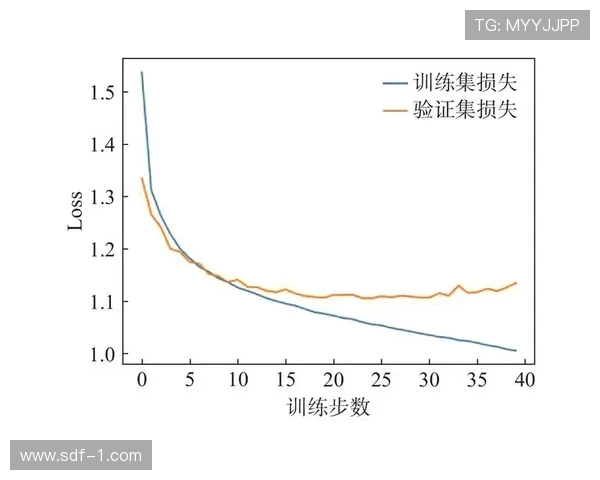 大满贯赛场鹰眼系统误差范围的科学论